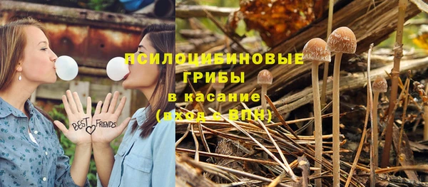 прущая мука Кинешма