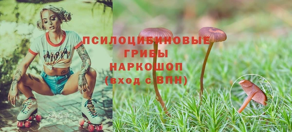 MDMA Premium VHQ Карпинск
