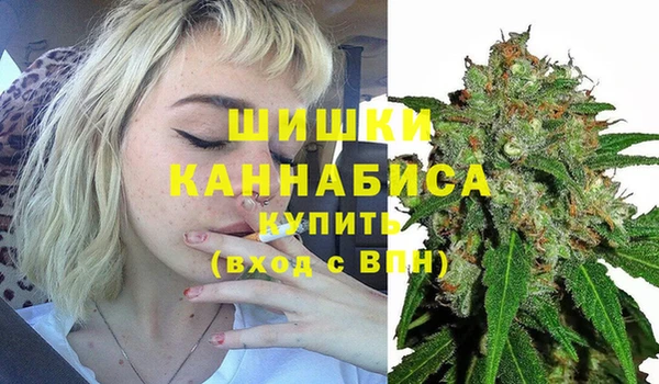 соль ск Киреевск