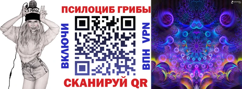 Галлюциногенные грибы MAGIC MUSHROOMS  Купить где  Кашин 