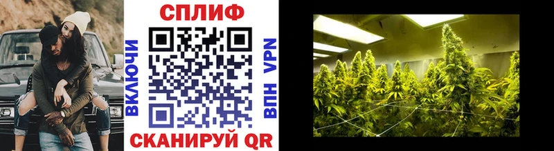 Каннабис THC 21%  Купить  Кашин 